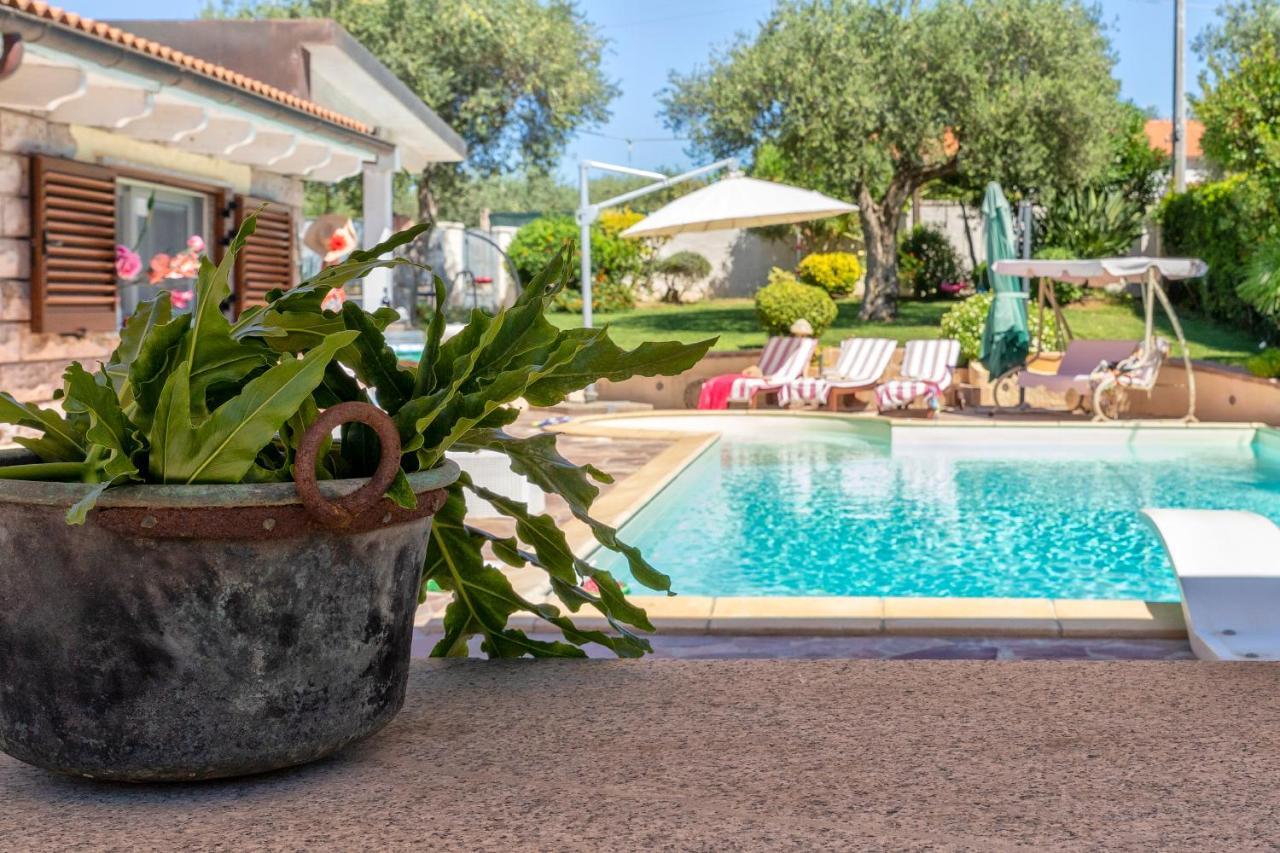 Villa Sunflower Alghero Ngoại thất bức ảnh